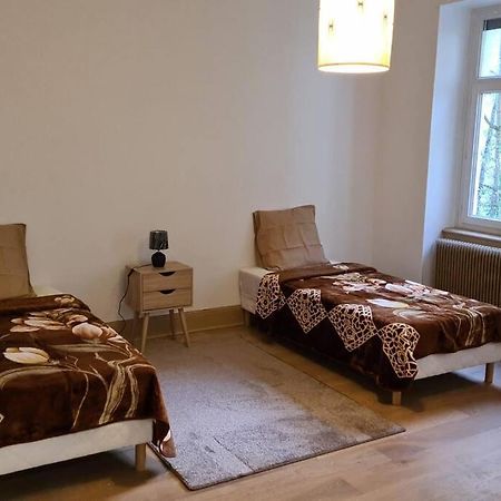 Grand 4P Strasbourg Orangerie 7 Personnes Proche D Allemagne Extérieur photo