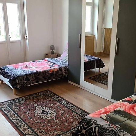 Grand 4P Strasbourg Orangerie 7 Personnes Proche D Allemagne Extérieur photo
