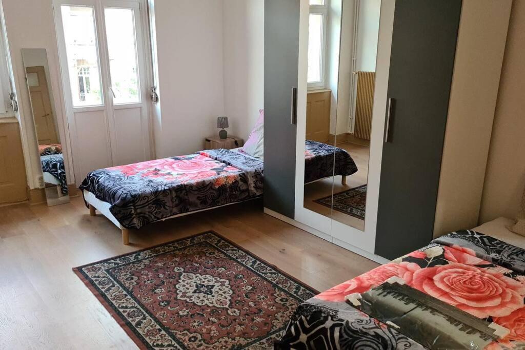 Grand 4P Strasbourg Orangerie 7 Personnes Proche D Allemagne Extérieur photo