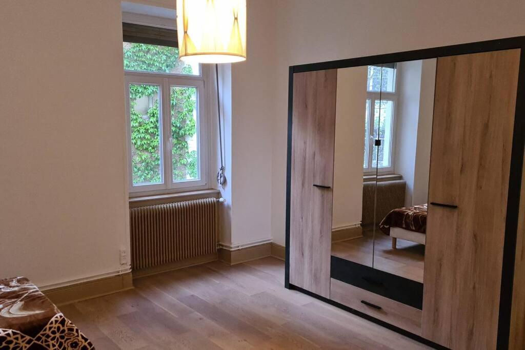 Grand 4P Strasbourg Orangerie 7 Personnes Proche D Allemagne Extérieur photo